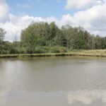 Gospodarstwo Agroturystyczne „Nad wodą” Doroty i Ludwika Michtów w Ciekotach na Żeromszczyźnie. / Krzysztof Bujnowicz - Radio Kielce / Gospodarstwo Agroturystyczne „Nad wodą" w Ciekotach