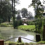 (10.08.2017) Raport Dnia - „Dworek Pod Lipą” w Nowych Kotlicach / Grzegorz Jamka / „Dworek Pod Lipą” w Nowych Kotlicach