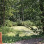 (10.08.2017) Raport Dnia - „Dworek Pod Lipą” w Nowych Kotlicach / Grzegorz Jamka / „Dworek Pod Lipą” w Nowych Kotlicach