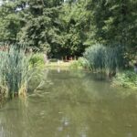 (10.08.2017) Raport Dnia - „Dworek Pod Lipą” w Nowych Kotlicach / Grzegorz Jamka / „Dworek Pod Lipą” w Nowych Kotlicach