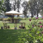 (10.08.2017) Raport Dnia - „Dworek Pod Lipą” w Nowych Kotlicach / Grzegorz Jamka / „Dworek Pod Lipą” w Nowych Kotlicach