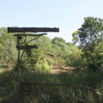 16.08.2017 - Raport Dnia - Jasień w gminie Staszów - Gospodarstwo Ekorab / Grzegorz Jamka / Gospodarstwo Ekorab