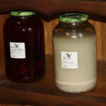 16.08.2017 - Raport Dnia - Jasień w gminie Staszów - Gospodarstwo Ekorab / Grzegorz Jamka / Gospodarstwo Ekorab