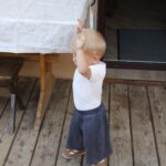 16.08.2017 - Raport Dnia - Jasień w gminie Staszów - Gospodarstwo Ekorab / Grzegorz Jamka / Gospodarstwo Ekorab