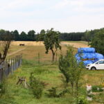 03.08.2017 Ciemiętniki. Letni Raport Dnia. Gospodarstwo eko-agroturystyczne "Danielówka". / Grzegorz Jamka - Radio Kielce / Gospodarstwo eko-agroturystyczne "Danielówka".