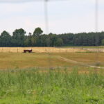 Fot. Grzegorz Jamka - Radio Kielce