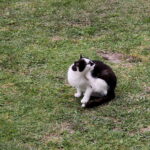 07.08.2017 Śladków Mały gm. Chmielnik. Letni Raport Dnia : Gospodarstwo agroturystyczne "Domek Na Wzgórzu" / Grzegorz Jamka - Radio Kielce / Gospodarstwo agroturystyczne "Domek Na Wzgórzu"