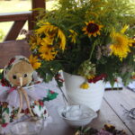 17.08.2017 Stacja: Wakacje! Bosowice, gmina Stopnica. / Grzegorz Jamka - Radio Kielce / Bosowice, gmina Stopnica.