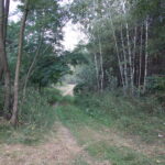 17.08.2017 Stacja: Wakacje! Bosowice, gmina Stopnica. / Grzegorz Jamka - Radio Kielce / Bosowice, gmina Stopnica.