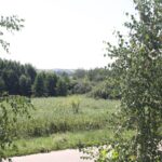 01.08.2017 Letni Raport Dnia. „Winnica Płochockich” / Grzegorz Jamka - Radio Kielce / Letni Raport Dnia. „Winnica Płochockich”