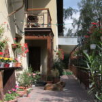 Raport Dnia: Gospodarstwo Turystyczne "Radostowa" w Ciekotach / Krzysztof Bujnowicz - Radio Kielce / Raport Dnia: Gospodarstwo Turystyczne "Radostowa" w Ciekotach