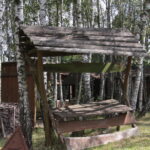 Raport Dnia: Gospodarstwo Turystyczne "Radostowa" w Ciekotach / Krzysztof Bujnowicz - Radio Kielce / Raport Dnia: Gospodarstwo Turystyczne "Radostowa" w Ciekotach