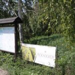 01.08.2017 Letni Raport Dnia. „Winnica Płochockich” / Grzegorz Jamka - Radio Kielce / Letni Raport Dnia. „Winnica Płochockich”