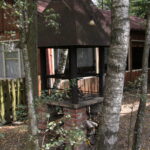 Raport Dnia: Gospodarstwo Turystyczne "Radostowa" w Ciekotach / Krzysztof Bujnowicz - Radio Kielce / Raport Dnia: Gospodarstwo Turystyczne "Radostowa" w Ciekotach