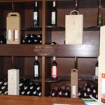 01.08.2017 Letni Raport Dnia. „Winnica Płochockich” / Grzegorz Jamka - Radio Kielce / Letni Raport Dnia. „Winnica Płochockich”