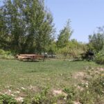 01.08.2017 Letni Raport Dnia. „Winnica Płochockich” / Grzegorz Jamka - Radio Kielce / Letni Raport Dnia. „Winnica Płochockich”