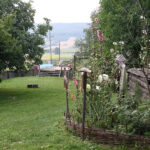 Letni Raport Dnia. „Na Górce” w miejscowości Wiącka / Grzegorz Jamka / Radio Kielce