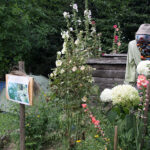 Letni Raport Dnia. „Na Górce” w miejscowości Wiącka / Grzegorz Jamka / Radio Kielce