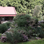 Raport Dnia: „Dom Kultury Heńka Góry” (29.08.2017) / Krzysztof Bujnowicz - Radio Kielce / Raport Dnia: „Dom Kultury Heńka Góry” (29.08.2017)