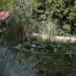 Raport Dnia: „Dom Kultury Heńka Góry” (29.08.2017) / Krzysztof Bujnowicz - Radio Kielce / Raport Dnia: „Dom Kultury Heńka Góry” (29.08.2017)