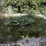 Raport Dnia: „Dom Kultury Heńka Góry” (29.08.2017) / Krzysztof Bujnowicz - Radio Kielce / Raport Dnia: „Dom Kultury Heńka Góry” (29.08.2017)