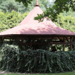 Raport Dnia: „Dom Kultury Heńka Góry” (29.08.2017) / Krzysztof Bujnowicz - Radio Kielce / Raport Dnia: „Dom Kultury Heńka Góry” (29.08.2017)