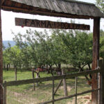 Letni Raport Dnia. „Na Górce” w miejscowości Wiącka / Grzegorz Jamka / Radio Kielce