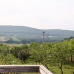 Letni Raport Dnia. „Na Górce” w miejscowości Wiącka / Grzegorz Jamka / Radio Kielce