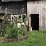 Letni Raport Dnia. „Na Górce” w miejscowości Wiącka / Grzegorz Jamka / Radio Kielce