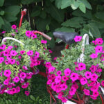 Letni Raport Dnia. „Na Górce” w miejscowości Wiącka / Grzegorz Jamka / Radio Kielce