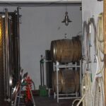 01.08.2017 Letni Raport Dnia. „Winnica Płochockich” / Grzegorz Jamka - Radio Kielce / Letni Raport Dnia. „Winnica Płochockich”