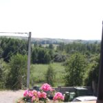 01.08.2017 Letni Raport Dnia. „Winnica Płochockich” / Grzegorz Jamka - Radio Kielce / Letni Raport Dnia. „Winnica Płochockich”