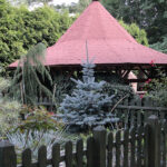 Raport Dnia: „Dom Kultury Heńka Góry” (29.08.2017) / Krzysztof Bujnowicz - Radio Kielce / Raport Dnia: „Dom Kultury Heńka Góry” (29.08.2017)