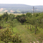 Letni Raport Dnia. „Na Górce” w miejscowości Wiącka / Grzegorz Jamka / Radio Kielce