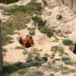 Letni Raport Dnia. „Na Górce” w miejscowości Wiącka / Grzegorz Jamka / Radio Kielce