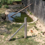 Letni Raport Dnia. „Na Górce” w miejscowości Wiącka / Grzegorz Jamka / Radio Kielce