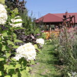 31.08.2016 / Raport Dnia. Gospodarstwa agroturystyczne. Podlipie. / Krzysztof Bujnowicz - Radio Kielce / Gospodarstwo agroturystyczne "Podlipie"