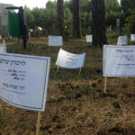 Muzeum Walki i Męczeństwa w Treblince / Magdalena Smożewska-Wójcikiewicz - Radio Kielce / Muzeum Walki i Męczeństwa w Treblince