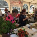 15.08.2017 Klimontów. Dozynki / Grażyna Szlęzak-Wójcik - Radio Kielce / Klimontów. Dozynki