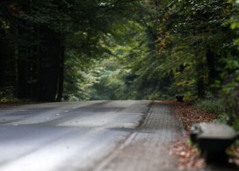 09.10.2016 Jesień na Świętym Krzyżu / Robert Felczak - Radio Kielce / Świętokrzyski Park Narodowy - droga na Święty Krzyż