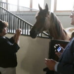 16.08.2016 Michałów. Pokaz na zakończenie Dni Konia Arabskiego. / Jarosław Kubalski / Radio Kielce