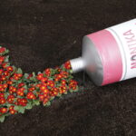 07.03.2017 Kielce. Wystawa poświęcona Monice Żeromskiej w Muzeum Lat Szkolnych Stefana Żeromskiego. / Jarosław Kubalski / Radio Kielce