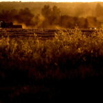 02.08.2017 Pola pod Pińczowem. / Jarosław Kubalski - Radio Kielce / Akcja żniwa.