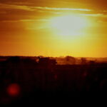 02.08.2017 Pola pod Pińczowem. / Jarosław Kubalski - Radio Kielce / Akcja żniwa.