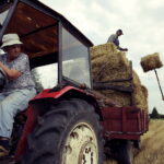 02.08.2017 Sędziejowice. Pole Zofii i Jana Witków. Zbiórka słomy po pszenżycie. / Jarosław Kubalski - Radio Kielce / Akcja żniwa.