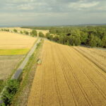 02.08.2017 Góry Pińczowskie. Pole państwa Ciszków. Zbiór pszenicy. / Jarosław Kubalski - Radio Kielce / Akcja żniwa.