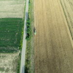 02.08.2017 Góry Pińczowskie. Pole państwa Ciszków. Zbiór pszenicy. / Jarosław Kubalski - Radio Kielce / Akcja żniwa.