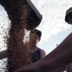 02.08.2017 Góry Pińczowskie. Pole państwa Ciszków. Zbiór pszenicy. / Jarosław Kubalski - Radio Kielce / Akcja żniwa.