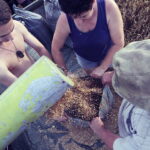 02.08.2017 Góry Pińczowskie. Pole państwa Ciszków. Zbiór pszenicy. / Jarosław Kubalski - Radio Kielce / Akcja żniwa.