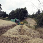 02.08.2017 Bieliny Podlesie. Pole Józefa Iwana. / Jarosław Kubalski - Radio Kielce / Akcja żniwa.